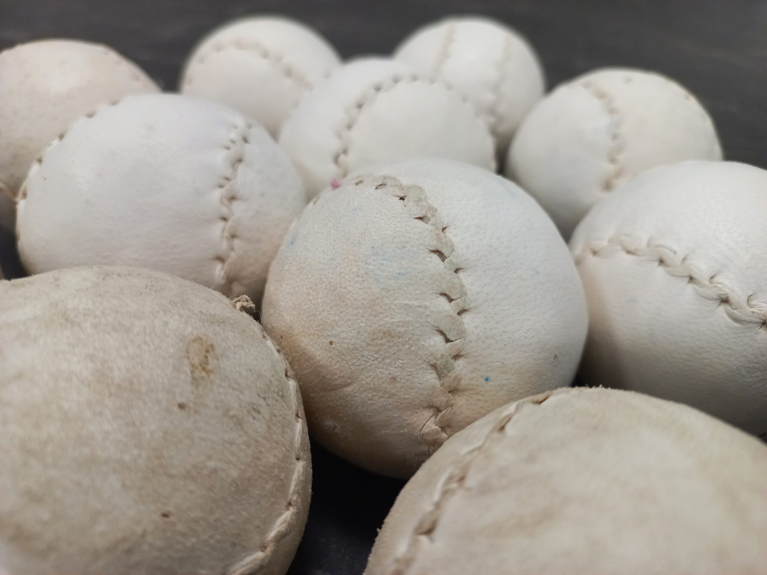 20240131_151332-scaled