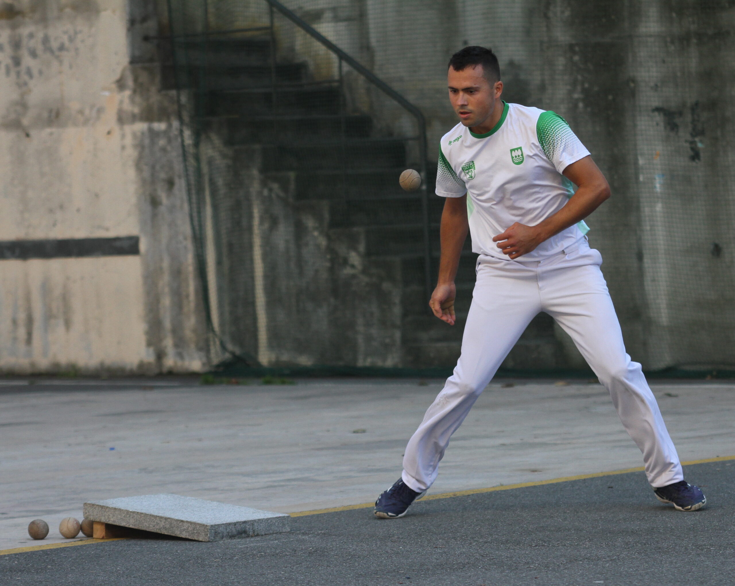 IMG_9227mozutabertikalean-scaled